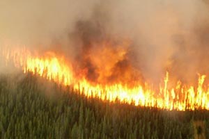 Aerial image of spruce forest burning brightly