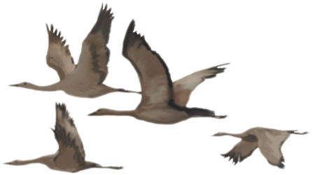 a computer image of prehistoric crane-like birds