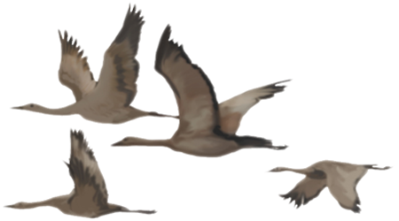 a computer image of prehistoric crane-like birds