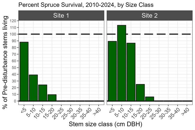 This graph shows the diameter at breast height (DBH) of the surviving trees at two long-term monitoring sites. Trees with a DBH greater than 20 cm most likely did not survive the spruce beetle attack.