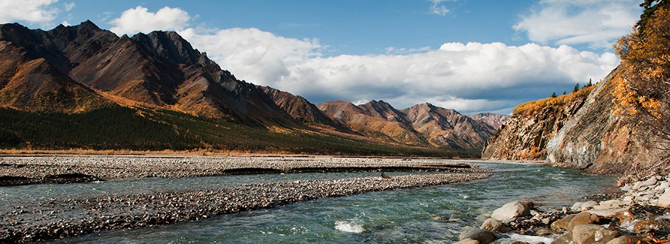 braided river with mountains in the background