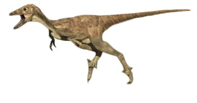 a computer image of a troodon running