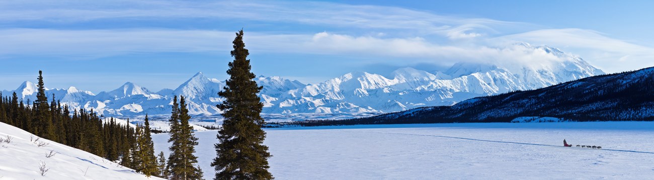 A dog team mushes across a snowy, frozen lake. Denali and many snow-covered mountains are visible in the distance.