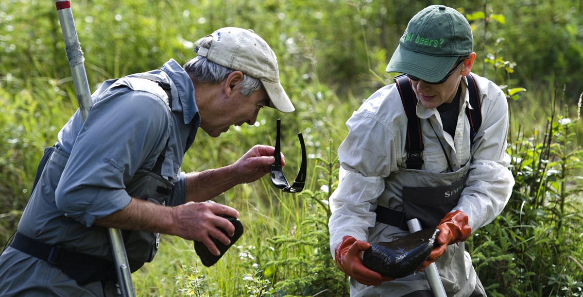 two researchers in waders look for insects on a rock two researchers in waders look for insects on a rock