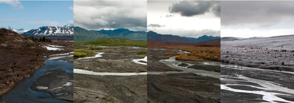 a group of pictures that show a braided river in different seasons a group of pictures that show a braided river in different seasons