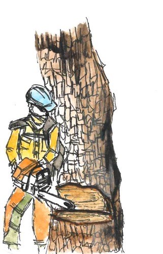 A wildlands firefighter using a chainsaw