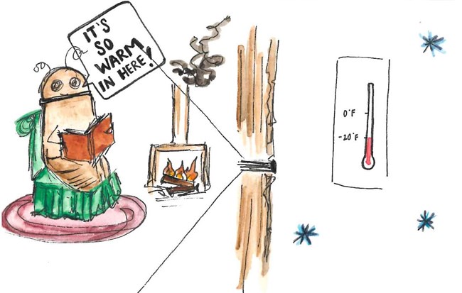 A spruce bark beetle sitting in a lounge chair next to a fireplace saying "It's so warm in here!"