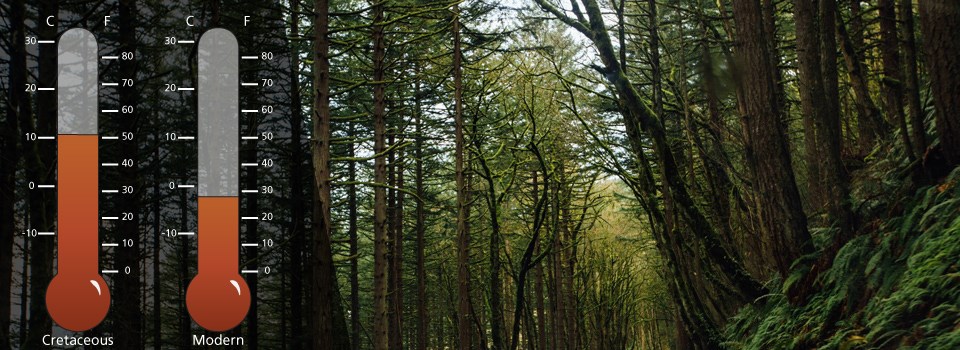 a forest with two thermometers showing the cretaceous climate as being much warmer than the modern climate