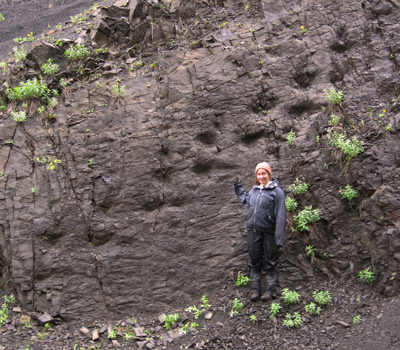 cretaceous climate