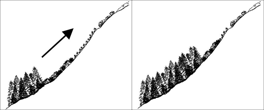 two diagrams of a hillside, illustrating increase in elevation where trees and shrubs exist