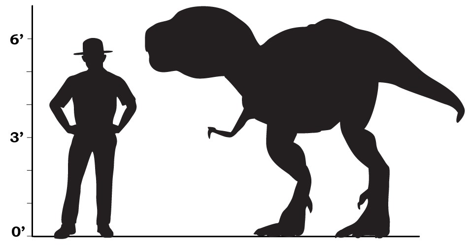 a size comparison that shows a nanuqsaurus would be taller than an average man