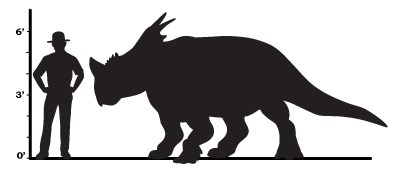 a size comparison that shows a pachyrhinosaur would be about a foot taller than an average man