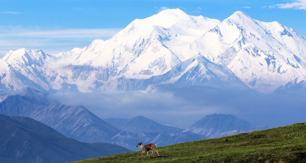 Pterosaur - Denali National Park & Preserve (U.S. National Park