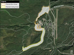 A green map with highlighted areas outlined in green and orange, and white dotted lines noting trails. The legend in the top left corner has the text Planned Burned Areas, Planned Cutting Areas