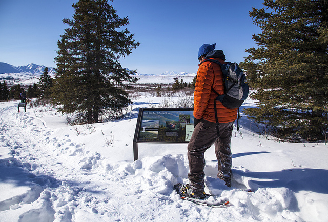 a man wearing snowshoes reads a sign in a snowy forest