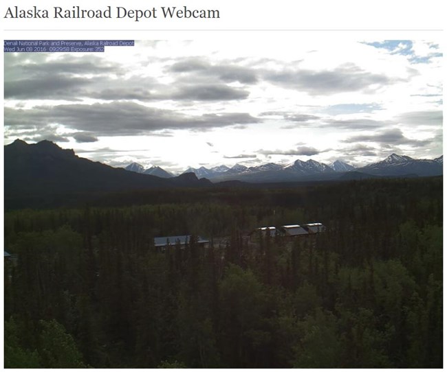 Screenshot from depot web cam, showing nearby forest and distant mountains
