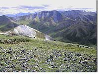 Alpine Habitat