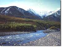 Riverbar and Riparian areas