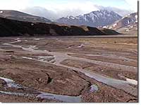 Riverbar and Riparian areas