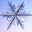 Image of a snow flake