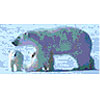 USGS, BRD