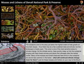 A screenshot of the eResource: Mosses and Lichen