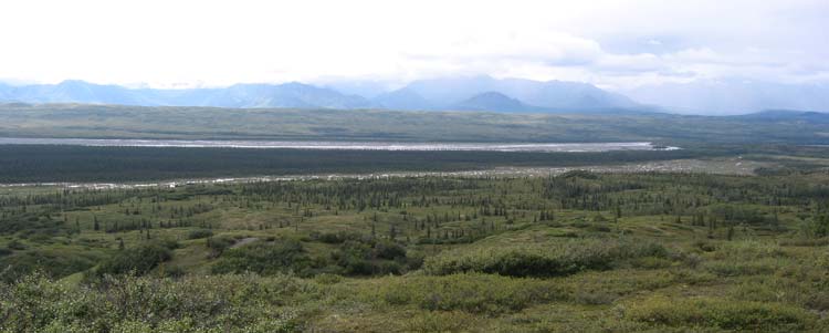 a wide, brushy plain, mountains in the distance shrouded in clouds