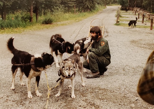 A bearded ranger crouches next to his wheel dogs after a demonstration run