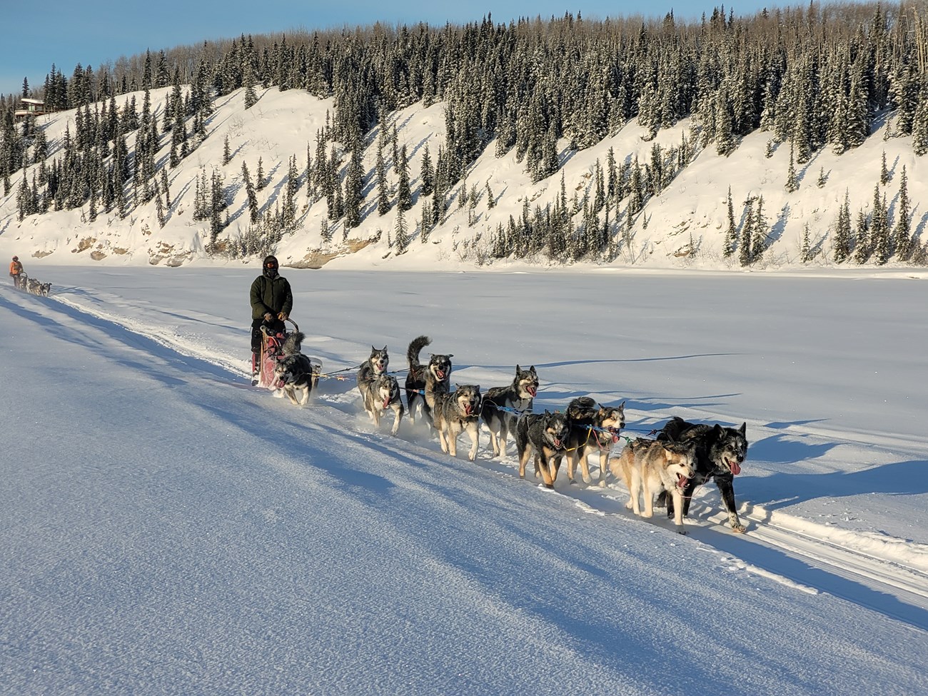 A team of 10 dogs and a musher travel down a wide, flat, snowy path along a frozen river. At the edge of the riverbank is a small, forested hill. A second dog team follows behind them.