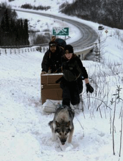 two people and a team of dogs travel a snowy train near a road two people and a team of dogs travel a snowy train near a road