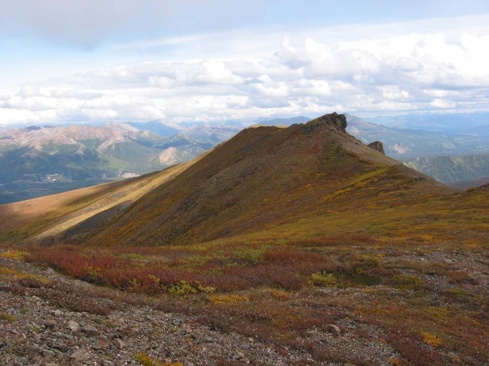 a ridge in autumn, low plants colored red and yellow, mountains and clouds in the distance