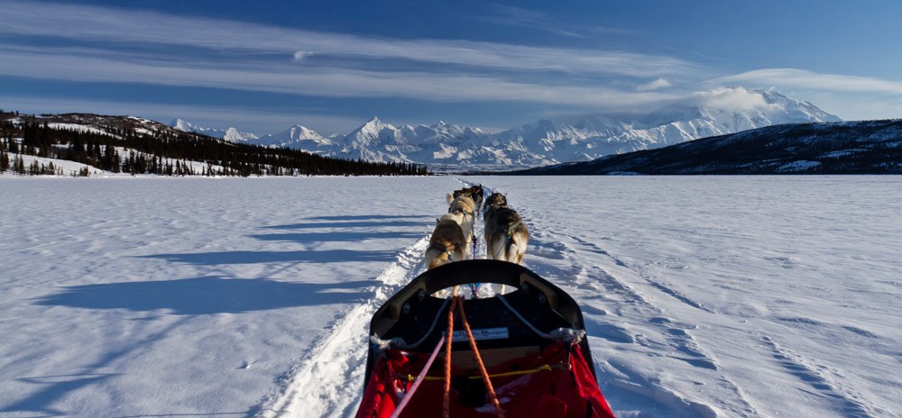 view down a dog sled and team o dogs across a snowy lake toward distant snowy mountains