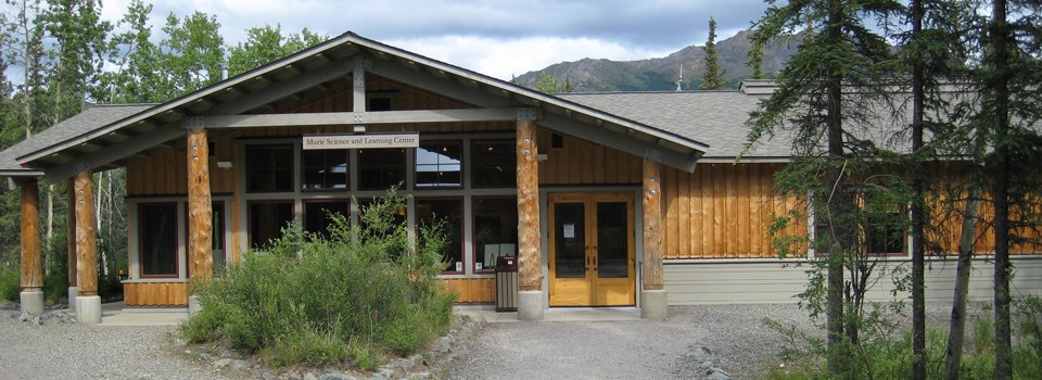 a wood building near a forest