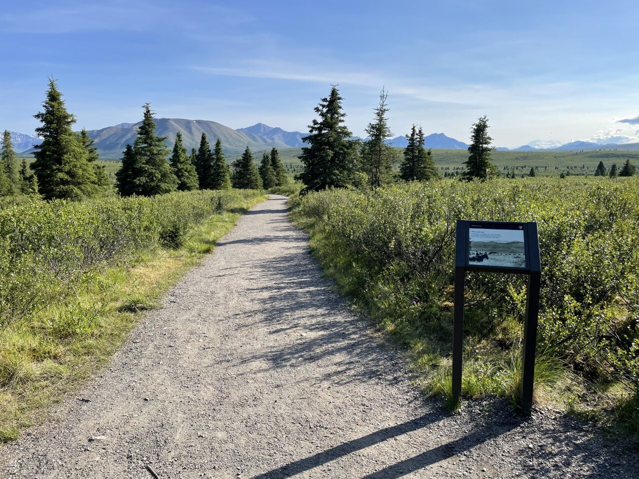 A gravel path leads through green brush and scattered spruce trees, against a backdrop of distant mountains and a clear blue sky. A small sign with an image and text is posted on the side of the trail.