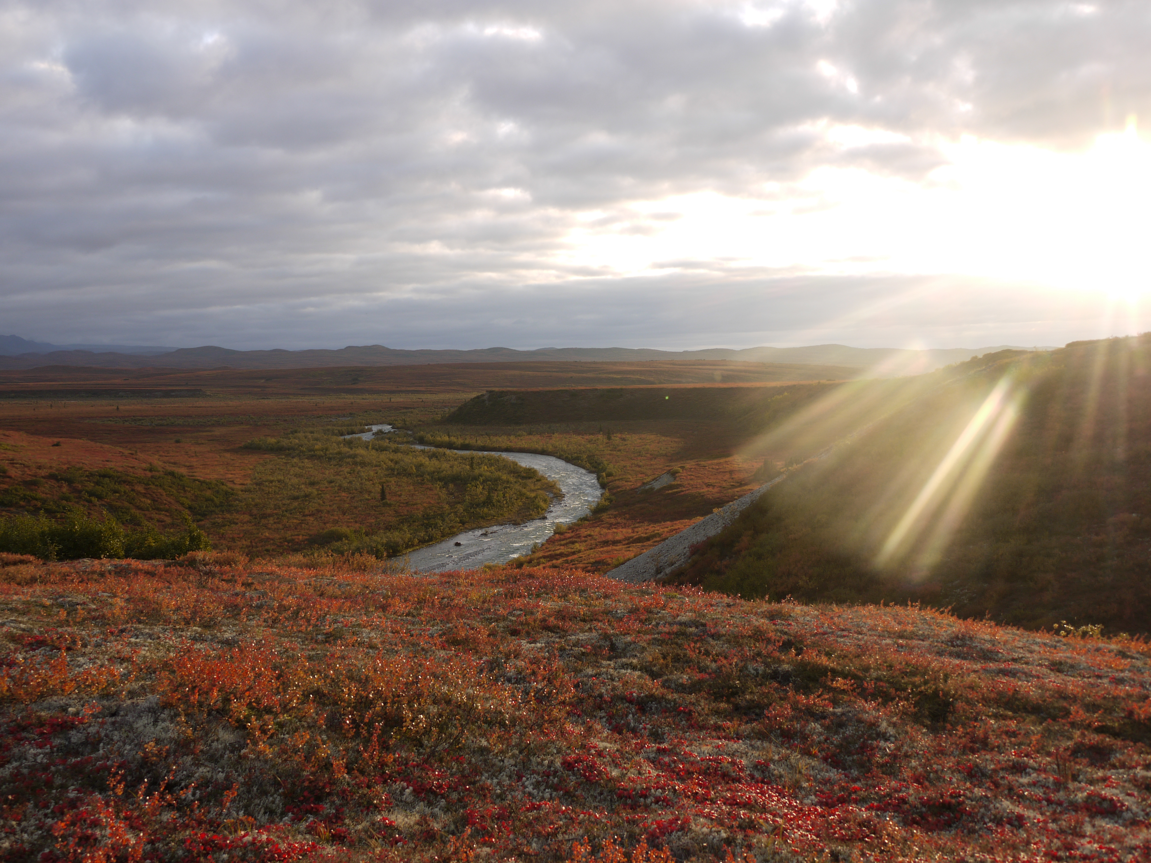 sun shining through clouds onto a tree-less landscape of red leaved plants near a small creek