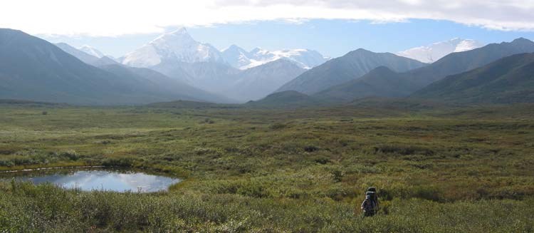 backpacker walking through waist high bushes toward distant mountains