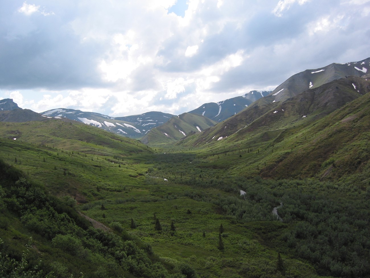 a brushy hillside, with a small creek running down the middle, taller mountains in the background