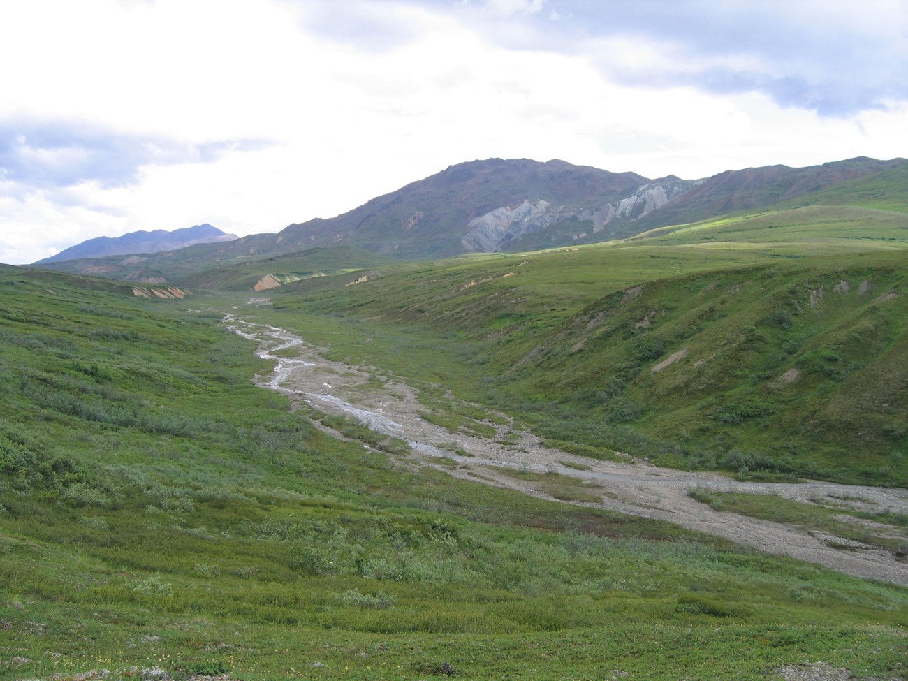 green hills on either side of a shallow creek