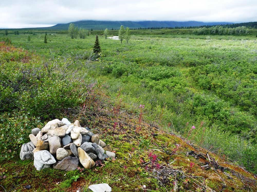 a pile of rocks