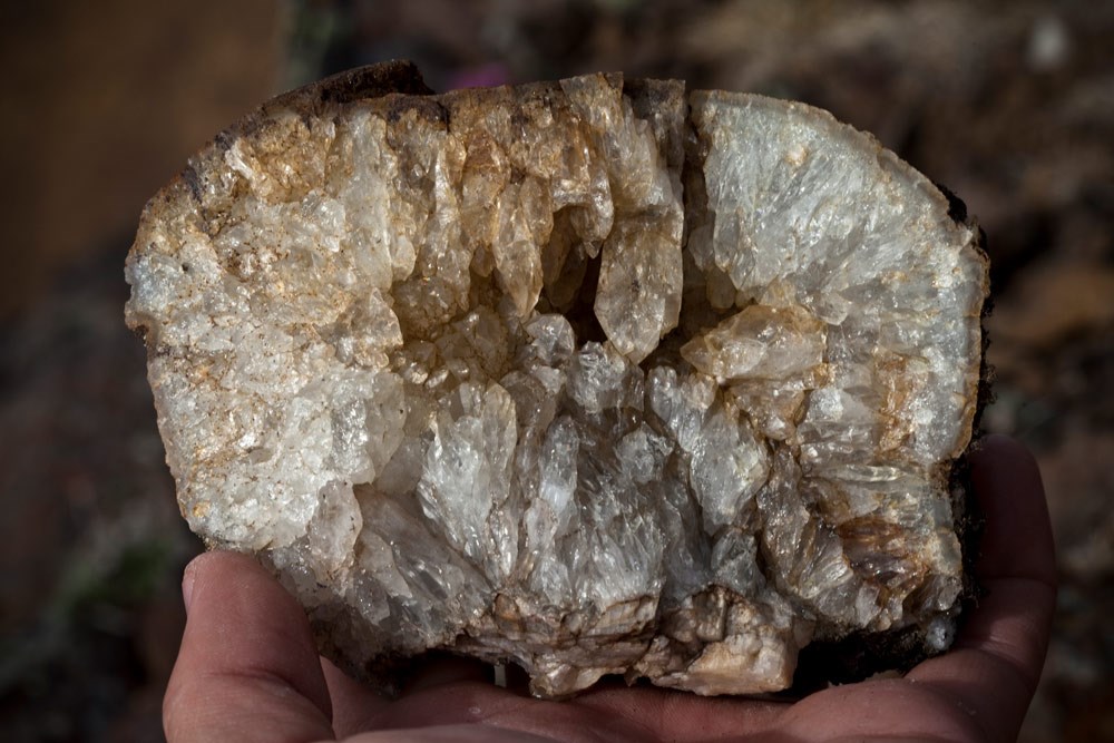 a geode with numerous whitish crystals inside a rock that has been split open