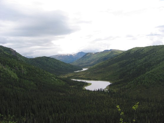 several narrow lakes between tall, forested hills, under a cloudy sky