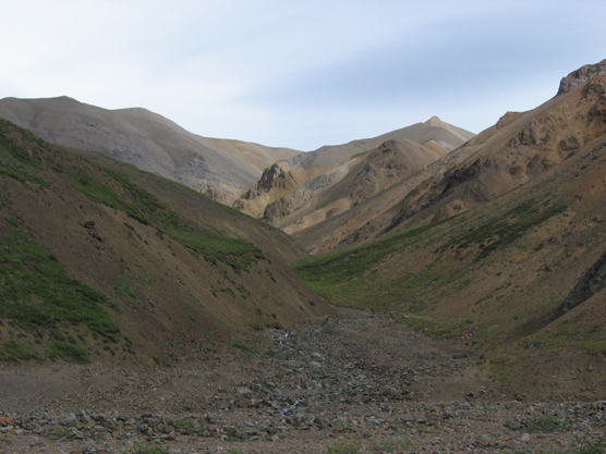Headwaters of Stony Creek