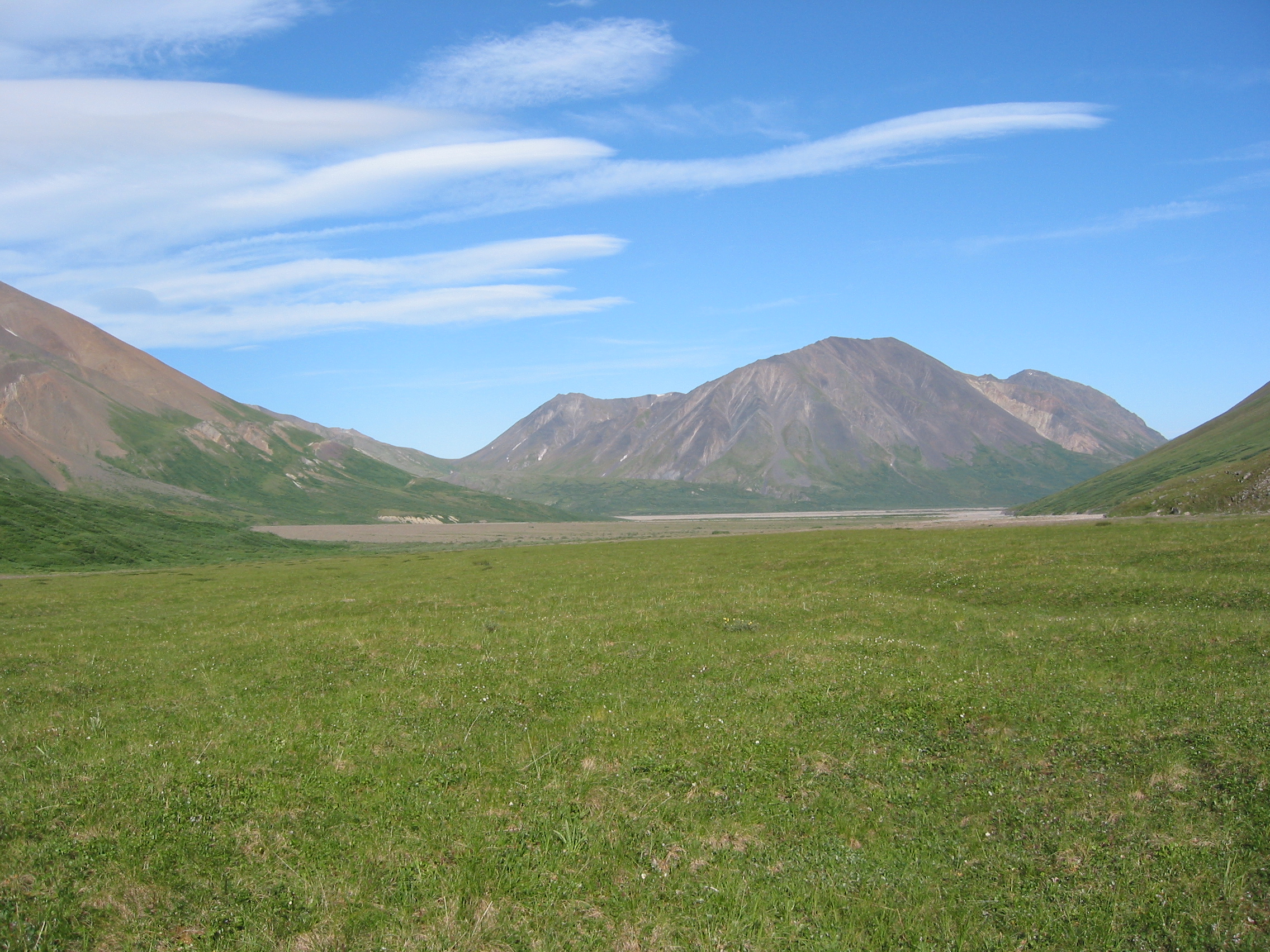 The gravel bar of the Bull River, seen from Easy Pass