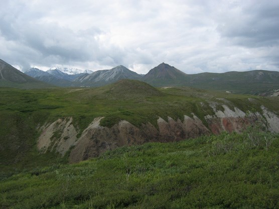 a brushy, rough landscape leading up to tall mountains