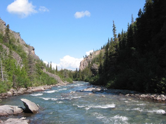 a shallow, rock-filled creek running through a forested canyon