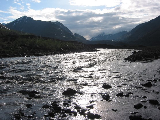 a wide, shallow river flowing between mountains