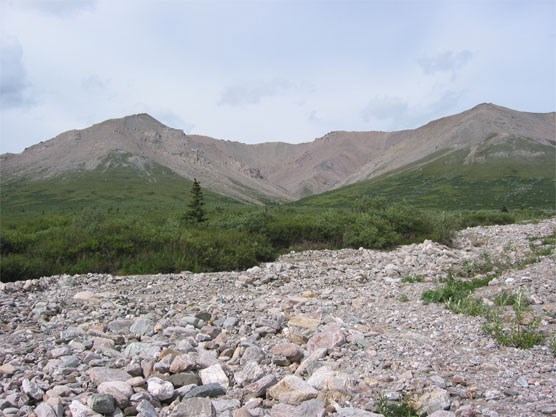A dry creekbed leading up to low mountains