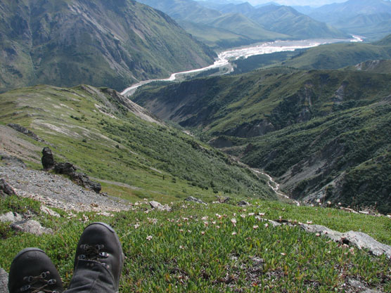 person laying on a tundra-covered hillside, looking downhill at a creek flowing down a mountain