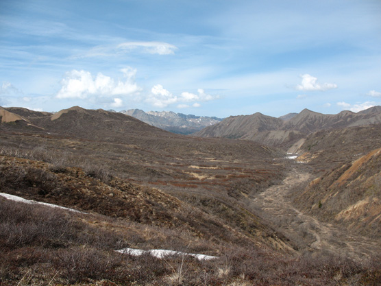 brown, brushy hills with snowy mountains in the distance