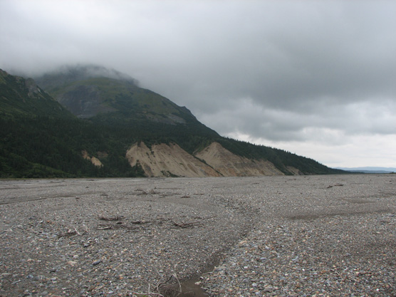 Lower Toklat River gravel bar